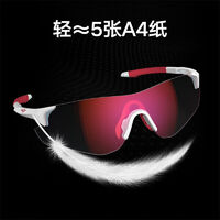 2024年十大熱門高特眼鏡產品 運動眼鏡精選指南